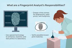 what are a fingerprint analyst's responsibilities?