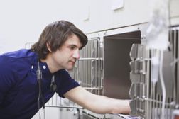 A veterinarian reaching into cage