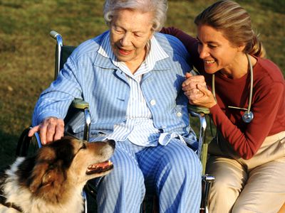 Elderly woman in wheelchair pets dogs