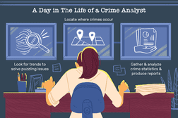 A day in the life of a crime analyst: Look for trends to solve puzzling issues, locate where crimes occur, gather and analyze crime statistics and produce reports