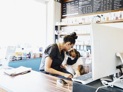 Small business pet store and grooming service petting dog while writing business plan