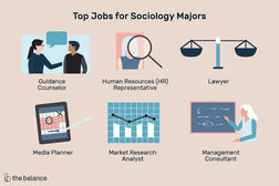 社会学专业的最高职位