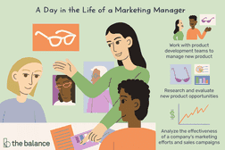 A day in the life of a marketing manage: Work with product development teams to manage new product, research and evaluate new product opportunities analyze the effectiveness of a company's marketing efforts and sales campaigns