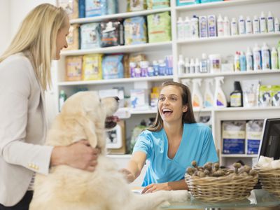 a receptionist greeting dog in vet's surgery