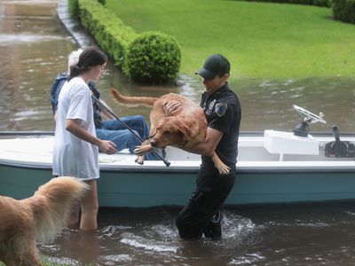 史诗般的洪水洪水淹没在Hurricane Harvey之后