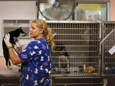 A volunteer for Paws to Save Pets