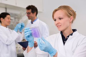 科学家们在实验室