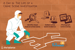 A day in the life of a crime scene investigator: Identify visual clues at crime scenes, collect crime scene evidence, photograph crime scenes