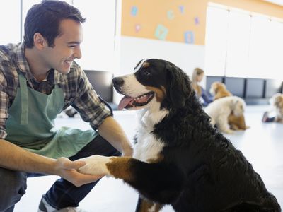 A doggie day care owner with a dog