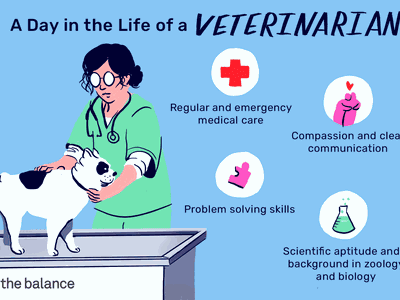 a day in the life of a veterinarian regular and emergency medical care problem solving skills compassion and clear communication scientific aptitude and a background in zoology and biology