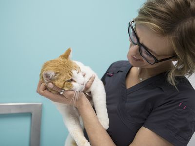 Veterinary technician holding and smiling at cat