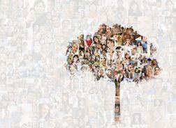 Tree over collage of faces