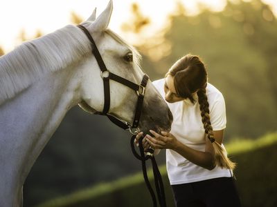 Woman Kissing a Horse on the Head in Nature