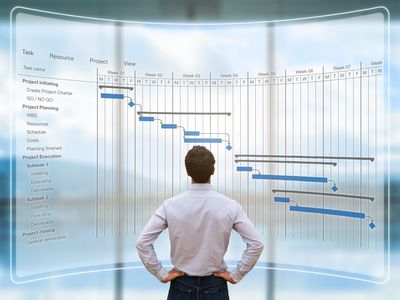 Man looking at giant Gannt Chart