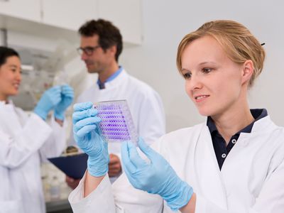scientists in lab