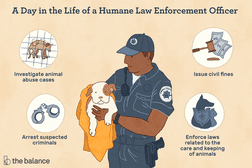 A day in the life of a human law enforcement officer: Investigate animal abuse cases, issue civil fines, arrest suspected criminals, enforce laws related to the care and keeping of animals