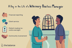 A day in the life of a veterinary practice manager: Financial reporting, client service, patient medical records oversight, community involvement