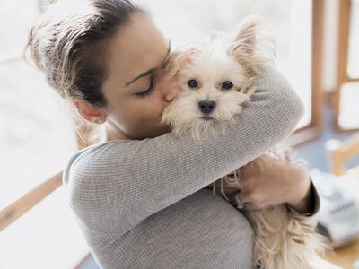 Young woman hugs Morkie breed dog