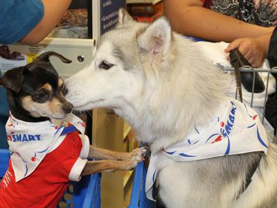 PetSmart in one example of a pet business that has elevated in-store events